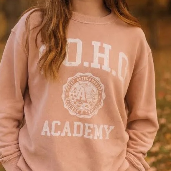 Aerie Women's Soho Academy Oversized Crewneck Sweatshirt - Picture 1 of 7